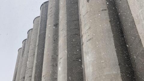 Photo from Snowy Day