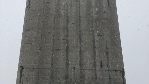 Snowy Day - C14CAF3A-5492-434C-85B3-88F6390BB583.jpeg