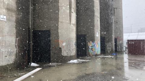 Snowy Day - 0D5EF322-196E-447E-803F-D8B80F51C6BE.jpeg