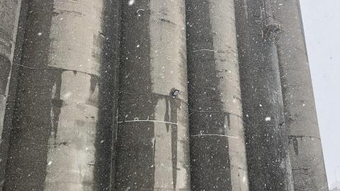 Snowy Day - 6E0FCD6E-20DC-4CC0-8D48-A35CA4D688F5.jpeg