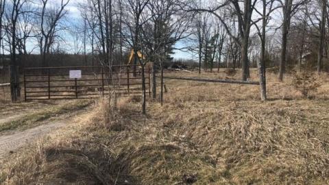 Photo from She gone!