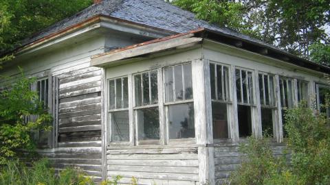 Oungah Bunga - Sept. 2012 / Dec. 2013 - IMG_2041.JPG