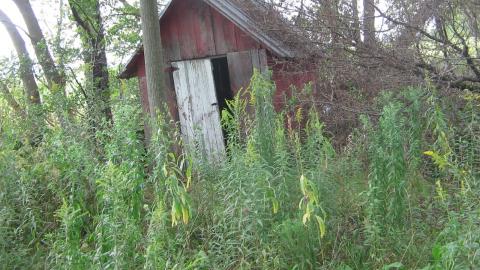 Oungah Bunga - Sept. 2012 / Dec. 2013 - IMG_2037.JPG