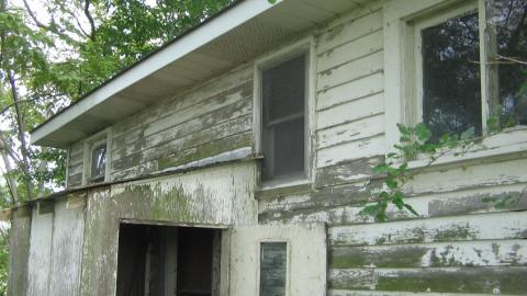 Oungah Bunga - Sept. 2012 / Dec. 2013 - IMG_2038.JPG