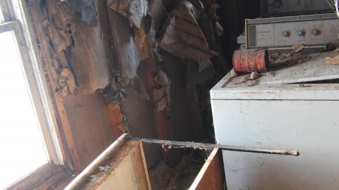 Oungah Bunga - Sept. 2012 / Dec. 2013 - DSC_0204.jpg