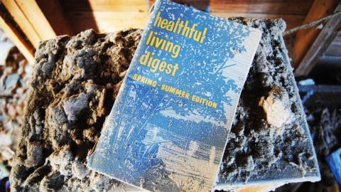 Oungah Bunga - Sept. 2012 / Dec. 2013 - DSC_0206.jpg