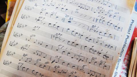 Oungah Bunga - Sept. 2012 / Dec. 2013 - DSC_0216.jpg