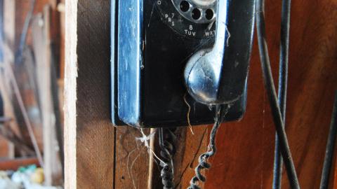 Oungah Bunga - Sept. 2012 / Dec. 2013 - DSC_0219.jpg