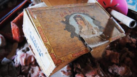 Oungah Bunga - Sept. 2012 / Dec. 2013 - DSC_0221.jpg