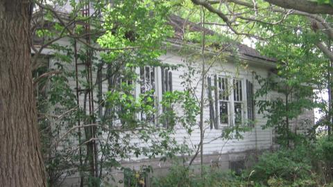 Oungah Bunga - Sept. 2012 / Dec. 2013 - IMG_2043.JPG