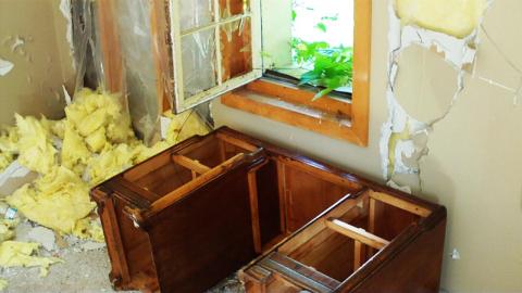 Photo from Flower House 2010