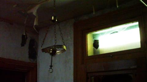 Photo from Flower House 2010