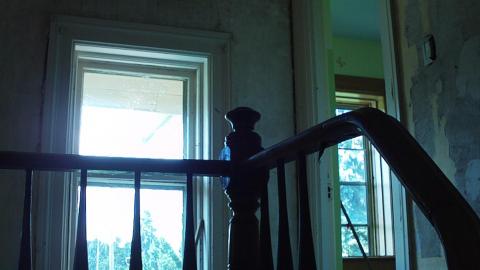 Flower House 2010 - 6.jpg