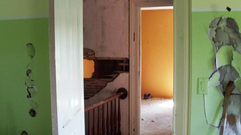 Photo from Flower House 2010