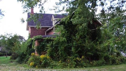 Flower House 2010 - 11.jpg