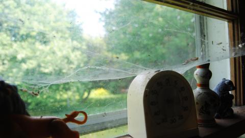 Packed - June 2013 - 11.jpg