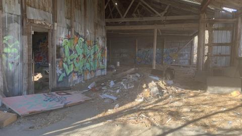 Cattle Farm - 2021 - IMG_2439.jpg