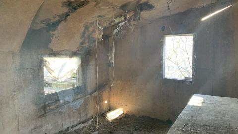 Cattle Farm - 2021 - IMG_2440.jpg