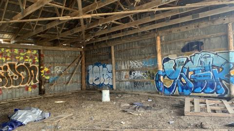 Cattle Farm - 2021 - IMG_2442.jpg