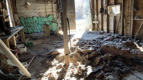 Cattle Farm - 2021 - IMG_2443.jpg