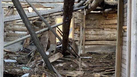 Cattle Farm - 2021 - IMG_2447.jpg