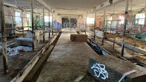 Cattle Farm - 2021 - IMG_2458.jpg