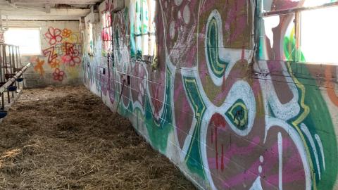 Cattle Farm - 2021 - IMG_2463.jpg