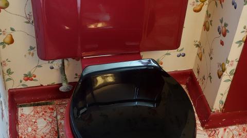 Sanitized Aug '20 - DSC01189.JPG