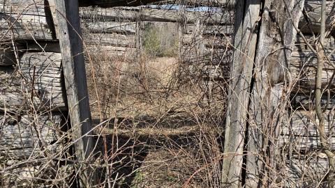 Photo from Newfoundout 2021