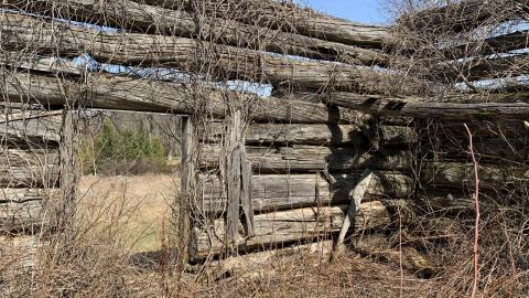 Newfoundout 2021 - IMG_2499.jpg