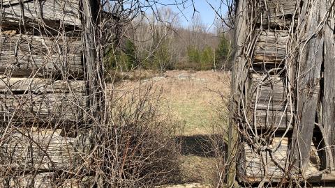 Photo from Newfoundout 2021