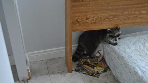 Getting High - November 2012 - DSC_0281.JPG