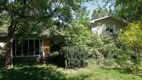 Moldy Monkeys Aug '20 - DSC01688.JPG