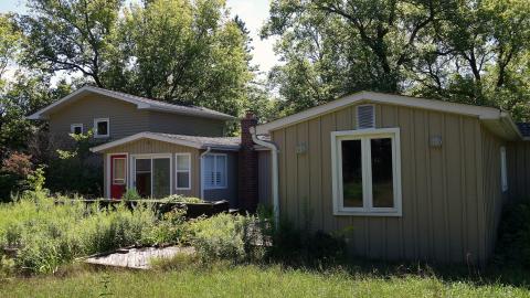 Moldy Monkeys Aug '20 - DSC01689.JPG