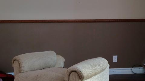 Photo from Moldy Monkeys Aug '20