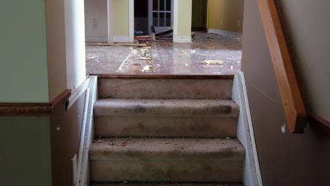 Photo from Moldy Monkeys Aug '20