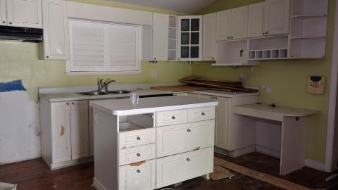 Moldy Monkeys Aug '20 - DSC01708.JPG