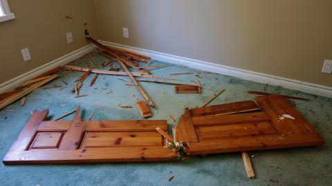 Moldy Monkeys Aug '20 - DSC01716.JPG