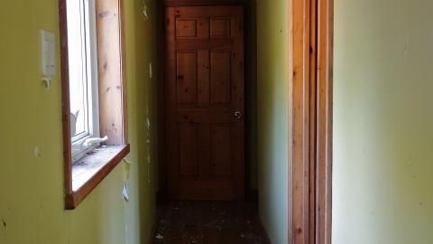 Moldy Monkeys Aug '20 - DSC01718.JPG