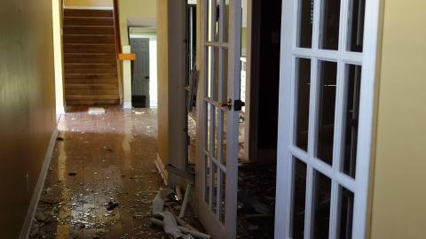 Moldy Monkeys Aug '20 - DSC01721.JPG