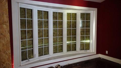 Moldy Monkeys Aug '20 - DSC01725.JPG