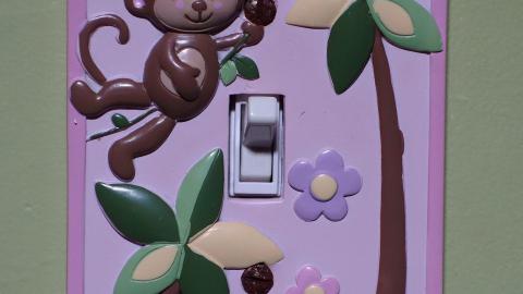 Moldy Monkeys Aug '20 - DSC01728.JPG