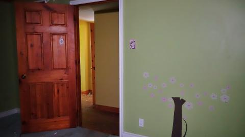 Photo from Moldy Monkeys Aug '20