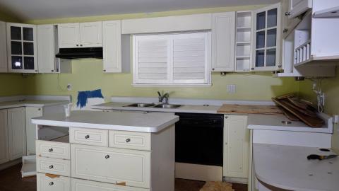 Moldy Monkeys Aug '20 - DSC01749.JPG