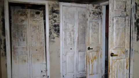 Moldy Monkeys Aug '20 - DSC01754.JPG