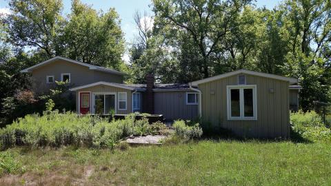 Moldy Monkeys Aug '20 - DSC01761.JPG