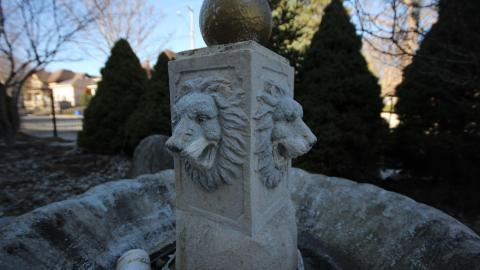 Stared Down By Stone - IMG_0528.JPG