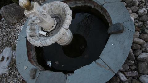 Stared Down By Stone - IMG_0527.JPG