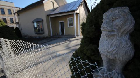 Stared Down By Stone - IMG_0523.JPG