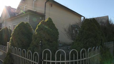 Stared Down By Stone - IMG_0521.JPG